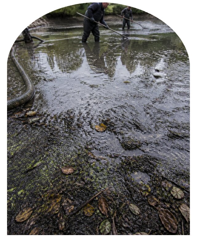 Очистка пруда в Кизляре от ила мусора и водорослей с вывозом